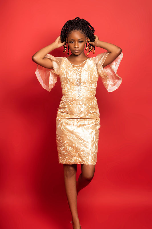 Knee length lace dress Color: light gold